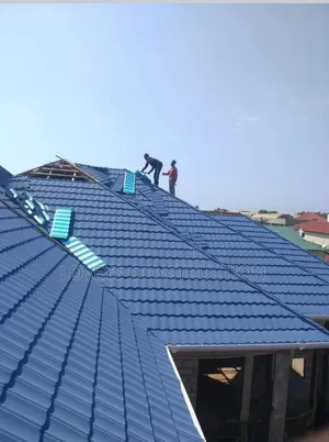 Professional Roof Work