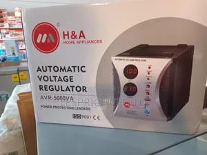 High Capacity (5000w) Stabilizer