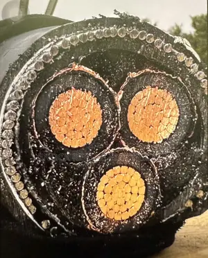 95mm X 3 Core Armoured Cable