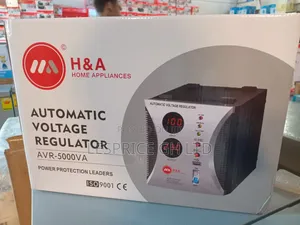 H a Dependable Power Stabilizer 5000w