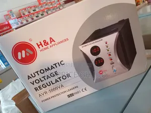Experience Stabilizer Power Using 5000w H a Stabilizer
