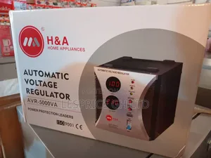Highly Recommended Stabilizer/5000w