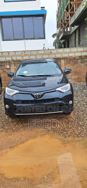 Toyota RAV4 XLE AWD (2.5L 4cyl 6A) 2017 Green