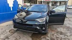 Toyota RAV4 XLE AWD (2.5L 4cyl 6A) 2017 Green