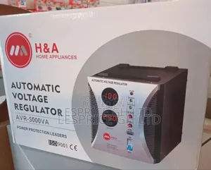 Fast Response Time_5000w/50hz/Stabilizer