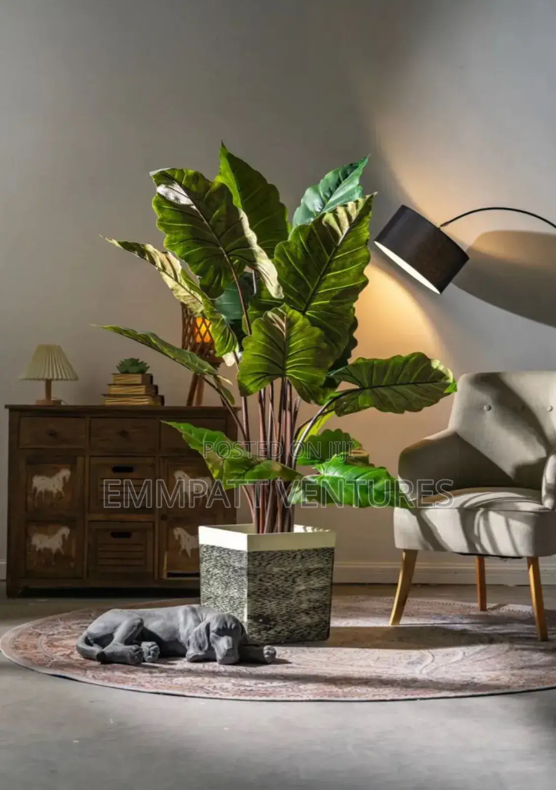 Plants Decor Beautfication