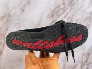 Clark Suede Wallabees Shoes for Men