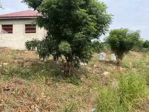 Hill-Top Land at Dodowa for Sale