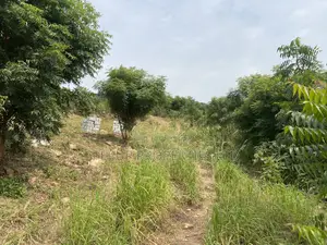 Hill-Top Land at Dodowa for Sale