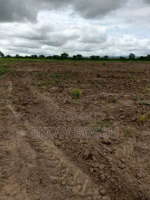 Farm Land at Asante Akyem Agogo Area