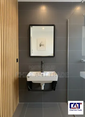 Basin With Mirror 9945