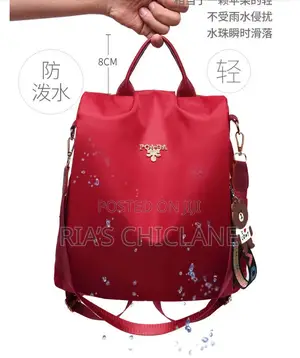 Student Backpack