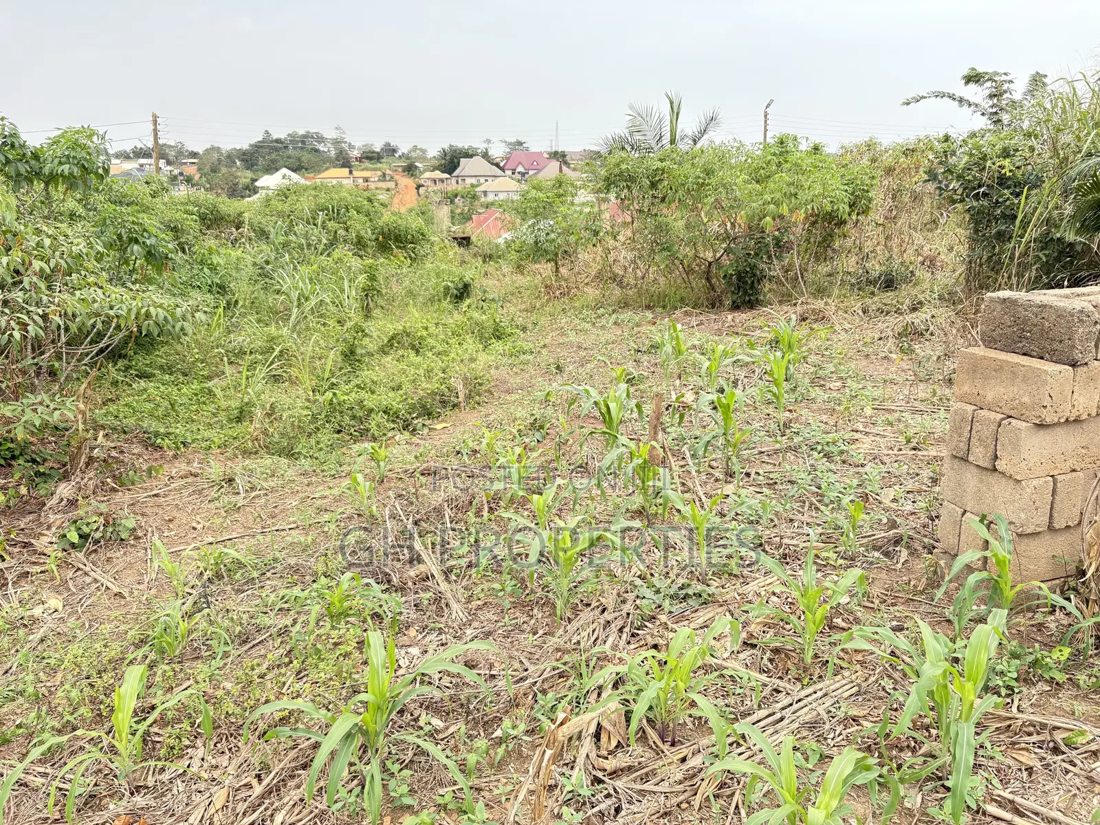 Six Plots for Sale at Sokoban Kwanwoma.