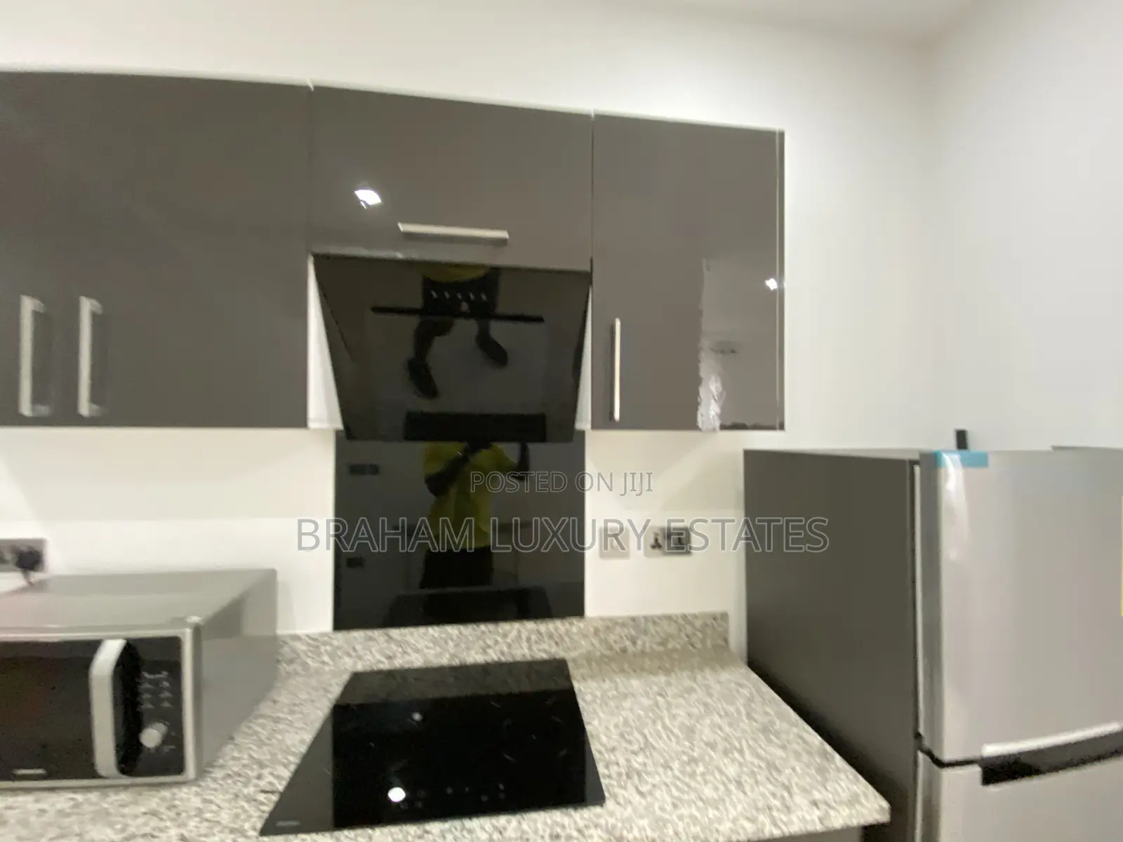 Furnished 1bdrm Apartment in Braham Luxury, Cantonments for rent