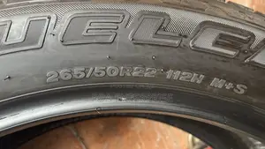 265/50r22 Bridgestone Very Neat Tire