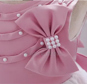 Girl Pink Princess Dress