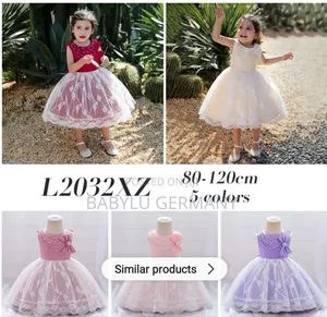 Girl Pink Princess Dress