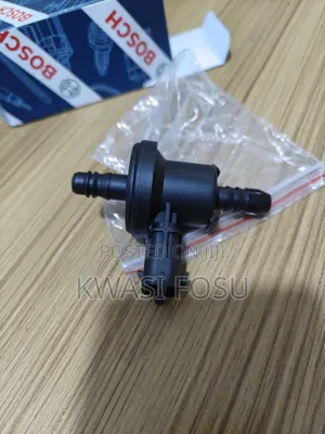 Ford Fiesta,Focus,Escape Pergde Valve /E-Vlave