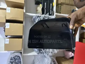 F150 Mirror Cover
