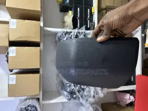 F150 Mirror Cover