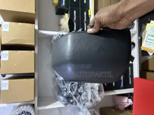 F150 Mirror Cover