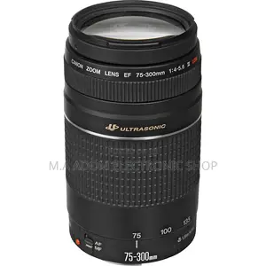 Canon Ef 75-300mm F/4-5.6 Iii Telephoto Zoom Lens for Canon SLR