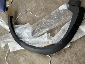 Cx9 Fender Moulding Back Right