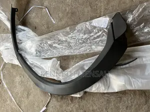 Cx9 Fender Moulding Back Right