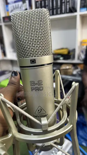 Behringer B-2 Pro Microphone