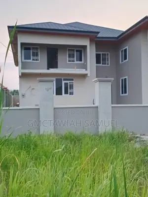 Professional and Affordable Painter