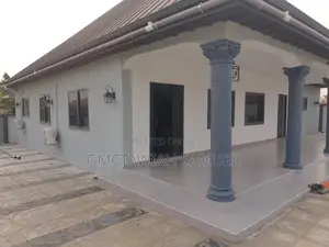 Professional and Affordable Painter