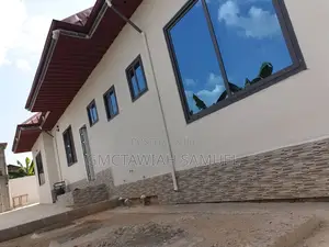 Professional and Affordable Painter