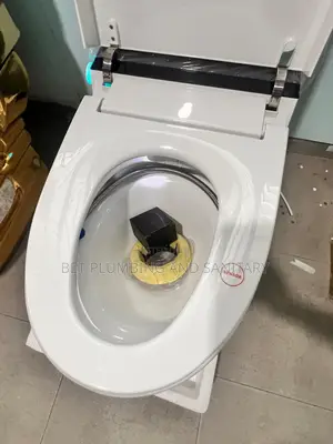 Imported Smart Water Closet_electric Wc _Sensor Wc_remote Control Wc