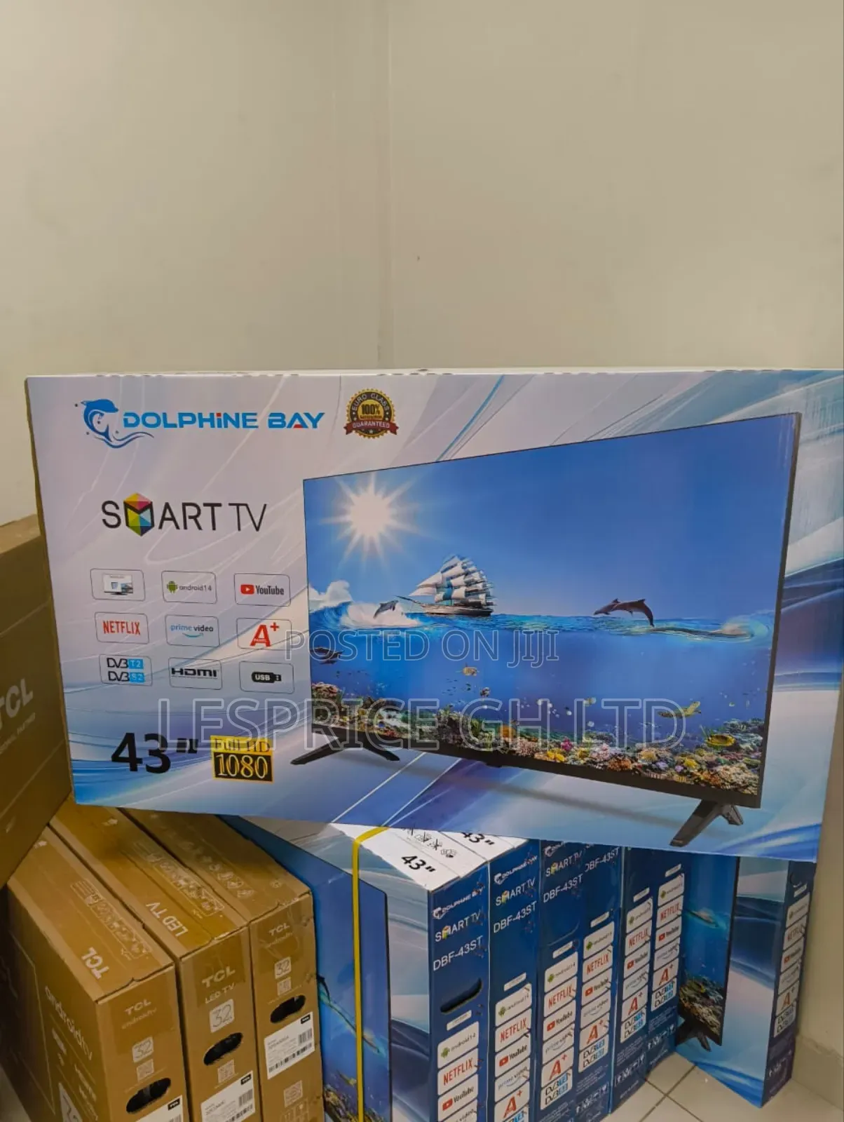 Enjoy Endless Entertainment Options