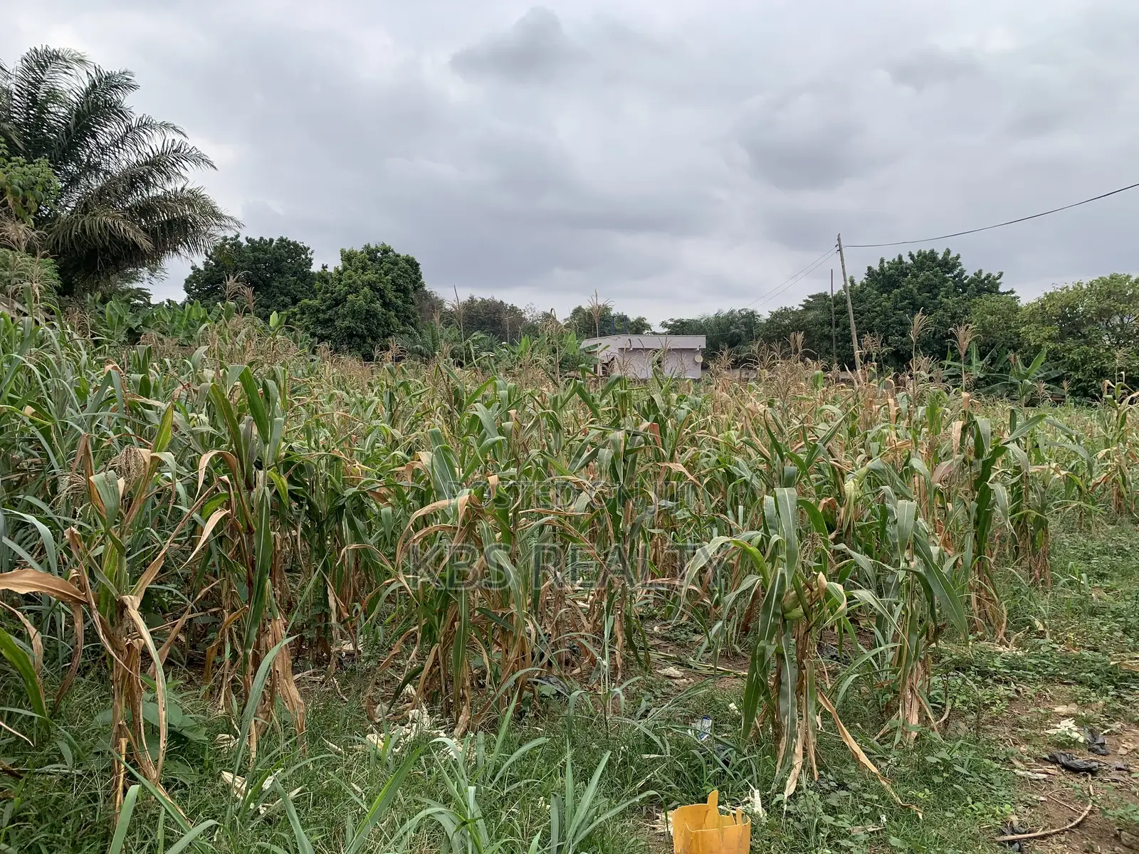 Commercial Land for Sale at Ahodwo-Daban