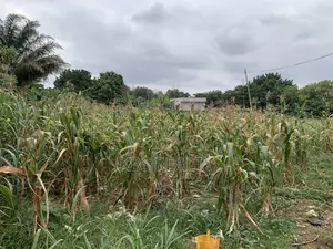 Commercial Land for Sale at Ahodwo-Daban