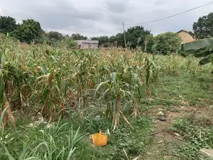 Commercial Land for Sale at Ahodwo-Daban