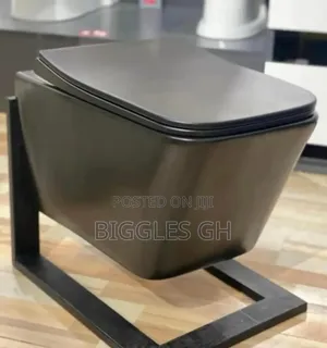 Black Concealed Wc