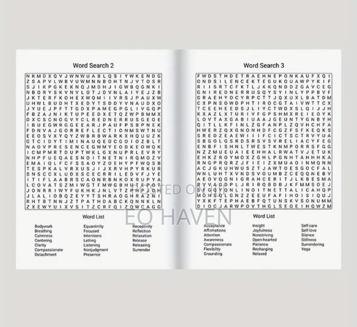 Puzzle Book (Mindfulness Word Search)