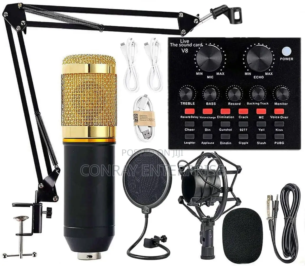 Professional Condenser Microphones.
