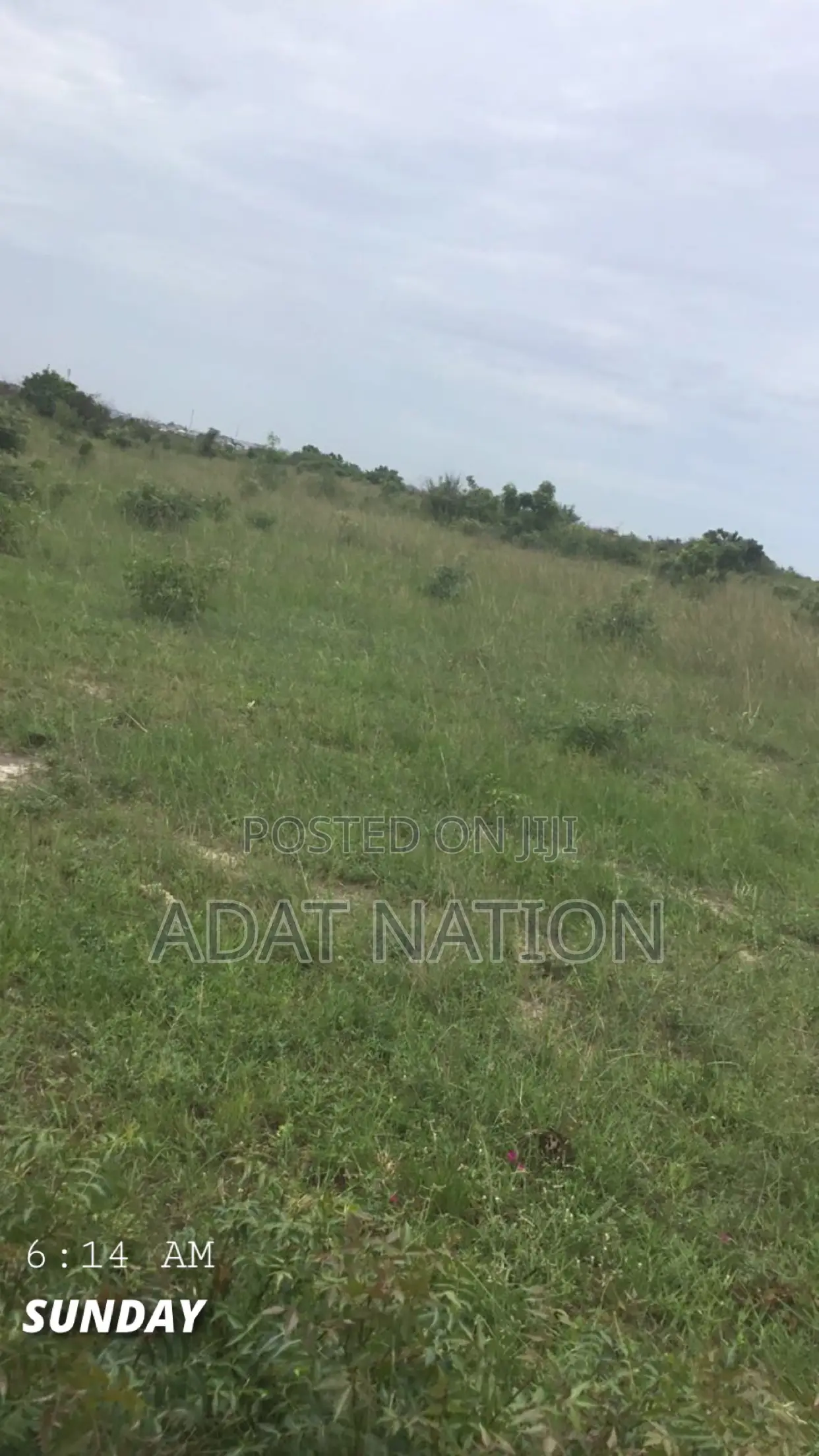 70 by 100 Plot of Land