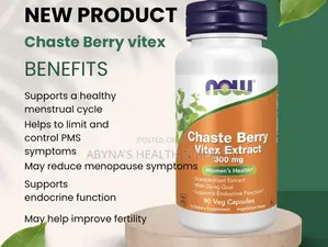 Now Chaste Berry Vitex Extract 300mg