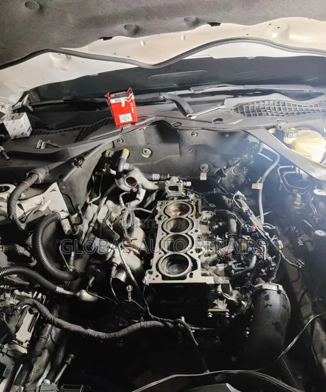 Ford Specialist