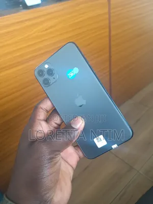 Apple iPhone 11 Pro Max 256 GB Gray