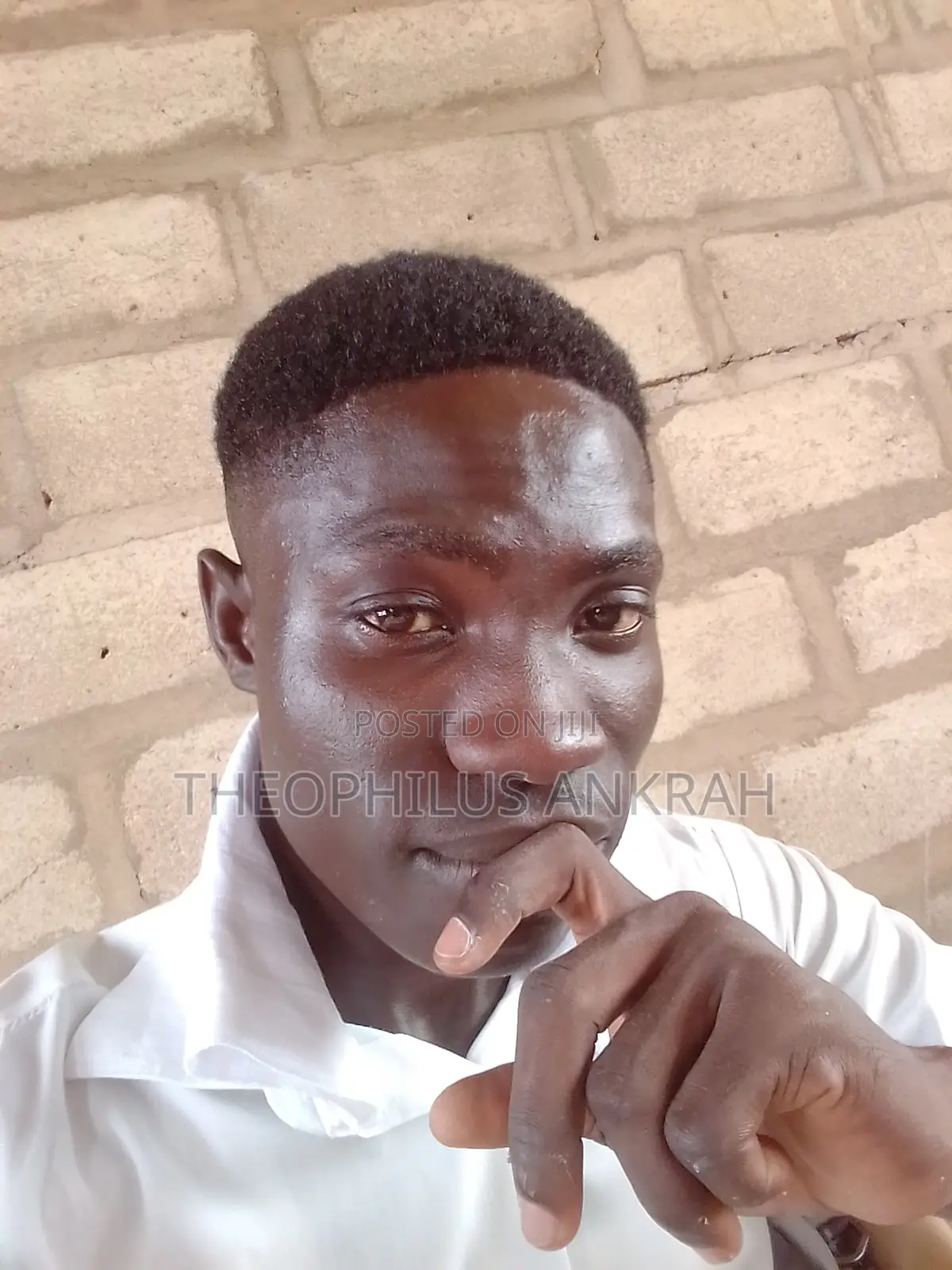 Graphic Designer