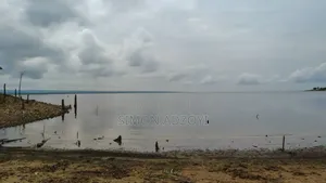 1000 Acres Close to Volta Lake