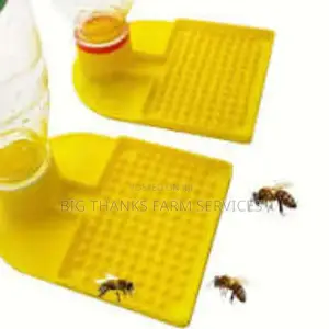 Bee Drinkers