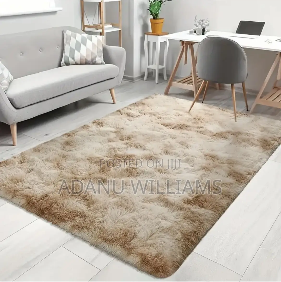The Highest Quality Fluffy Center Carpet for Living Room (200*300cm)