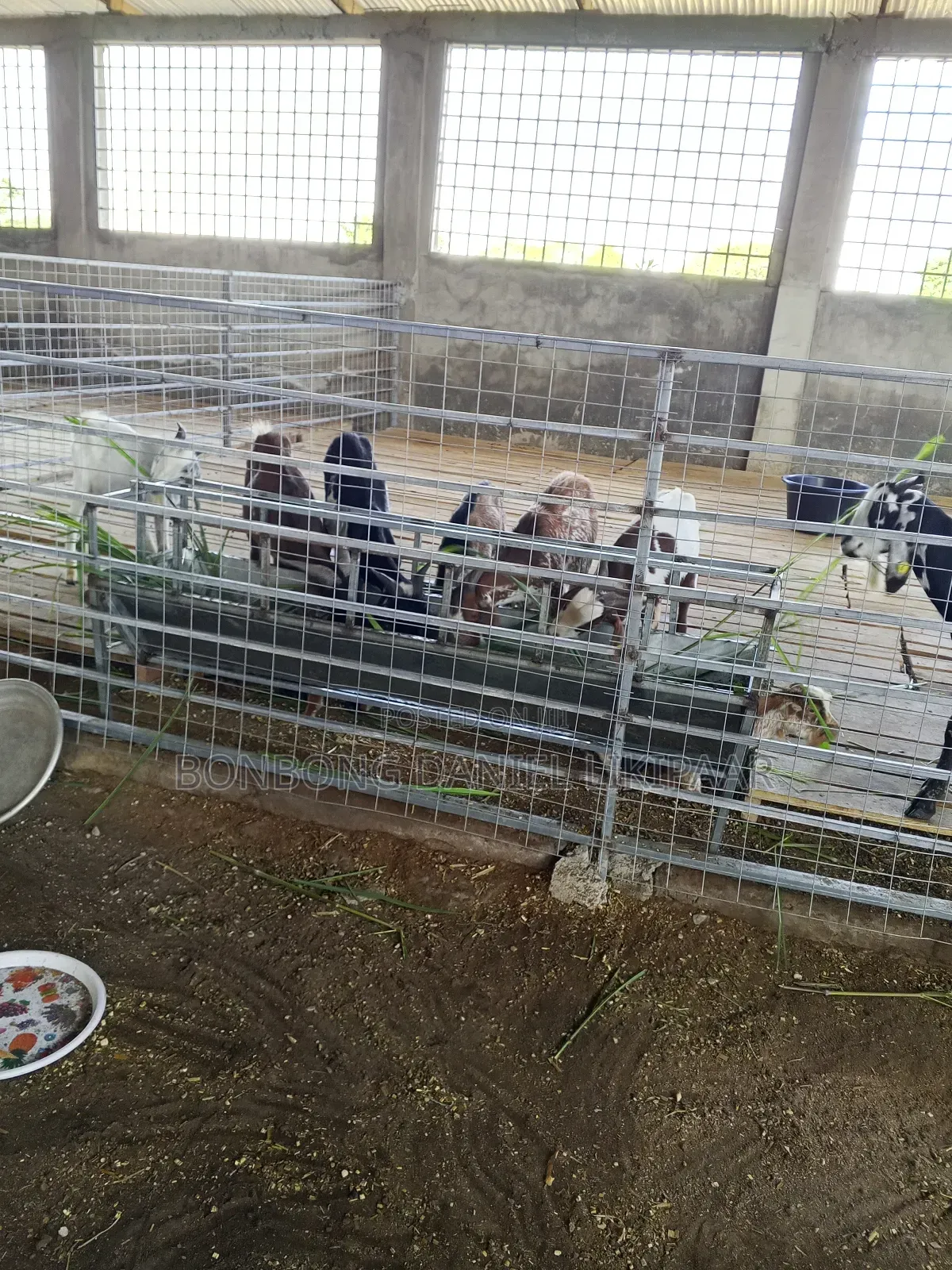 Farming Veterinary Cv