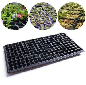 50hole Seed Tray